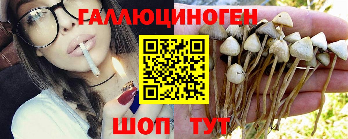 Галлюциногенные грибы MAGIC MUSHROOMS  Вход с VPN  Светлоград 