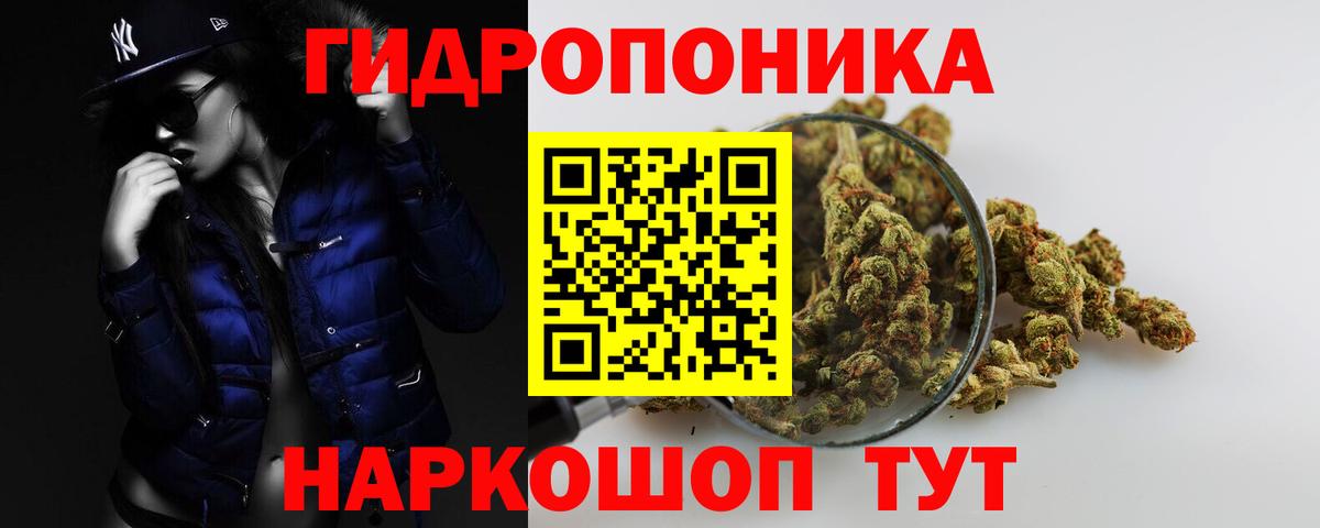 Бошки Шишки гибрид Светлоград